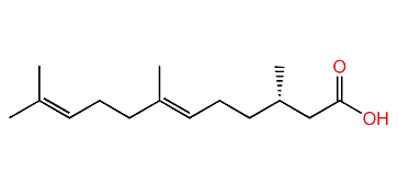 (S)-3,7,11-Trimethyl-6,10-dodecadienoic acid
